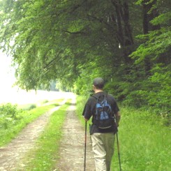 Wanderer