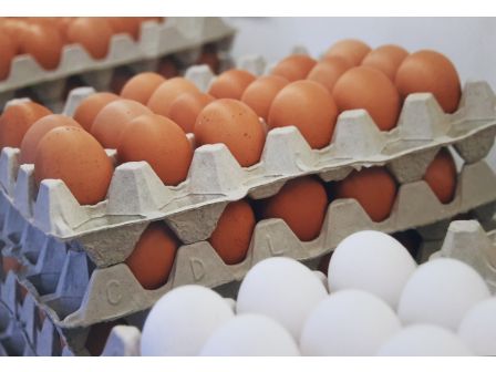 Eier