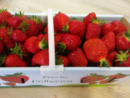 Erdbeeren i Korb