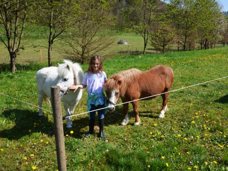Unsere Ponys
