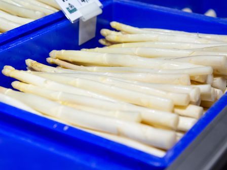 Spargel