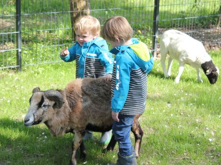 Kinder u. Schaf