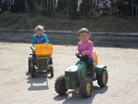 Ketcar fahren