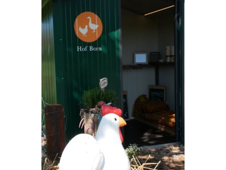 Verkaufshäuschen u. Huhn