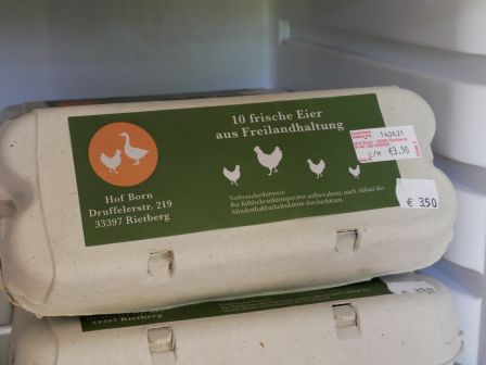 10er Eierschachtel
