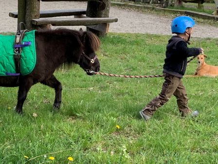 Kind u. Pony