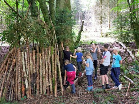 im Wald