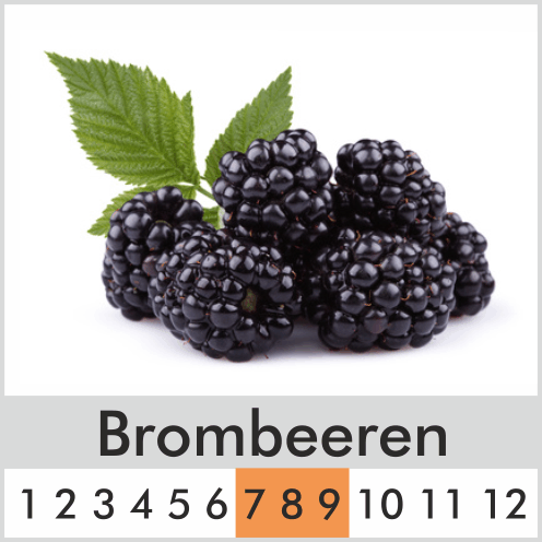Brombeeren
