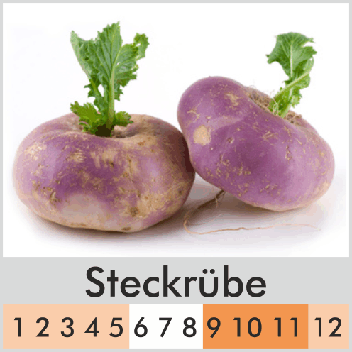 Steckrübe