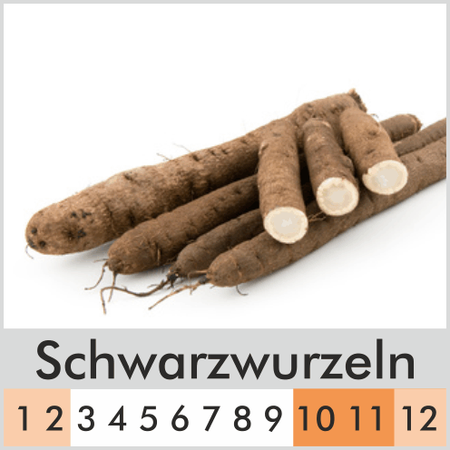 Schwarzwurzeln