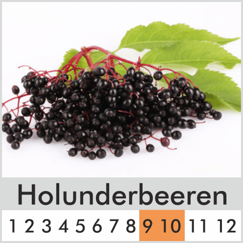 Holunderbeeren