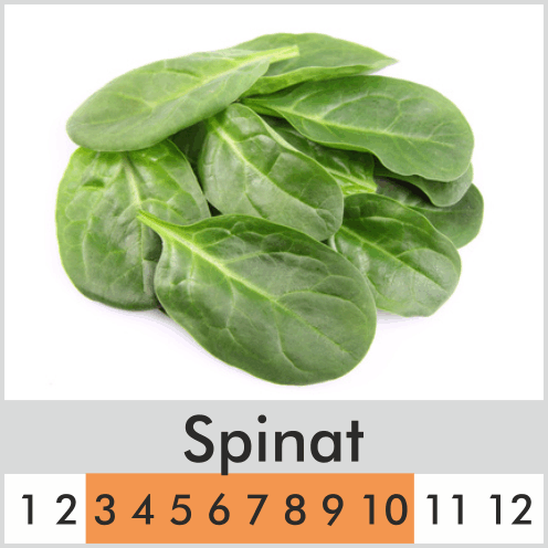Spinat