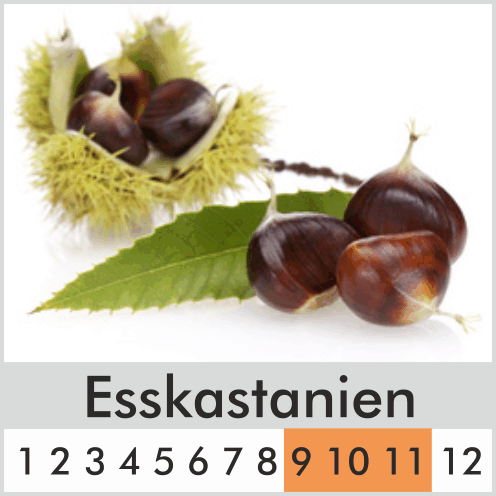 Esskastanien