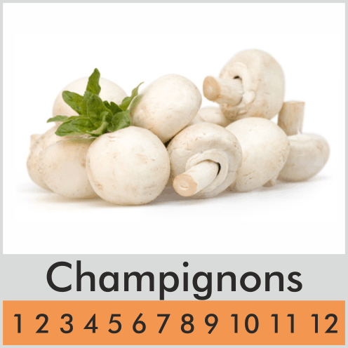 Champignons