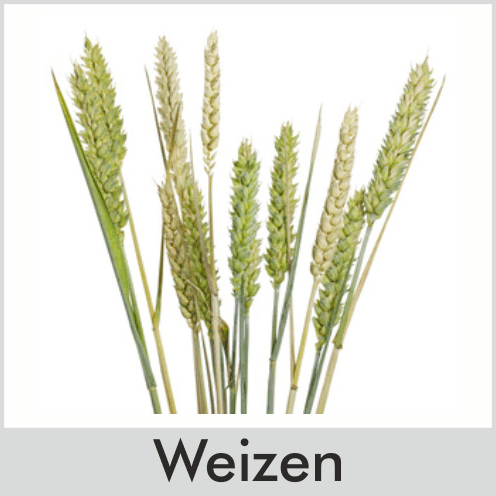 Weizen