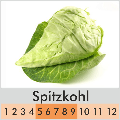 Spitzkohl