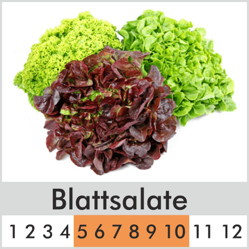 Blattsalate