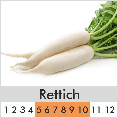 Rettich