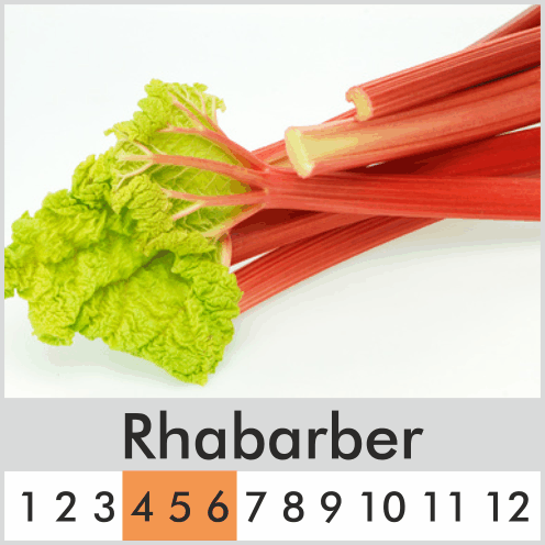 Rhabarber