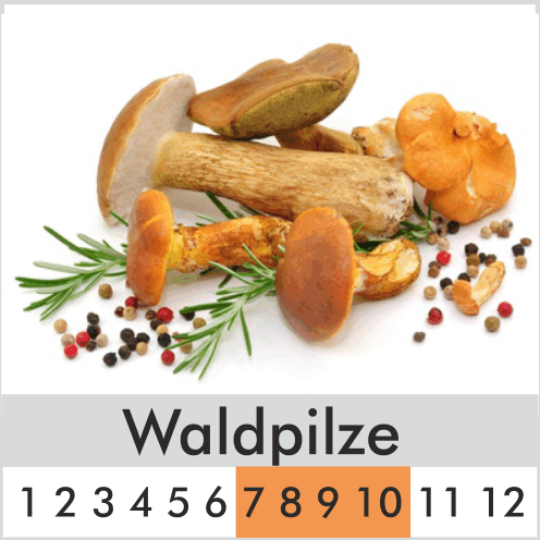 Waldpilze