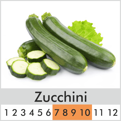 Zucchini