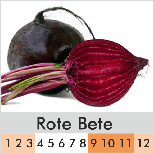 Rote Bete