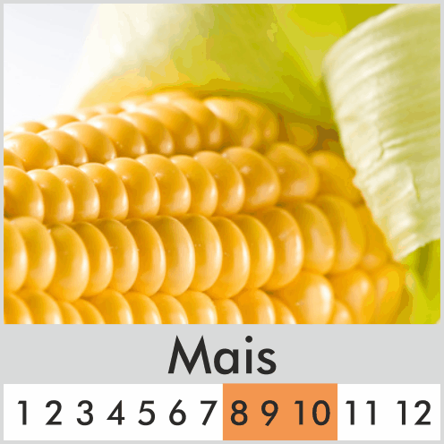 Mais
