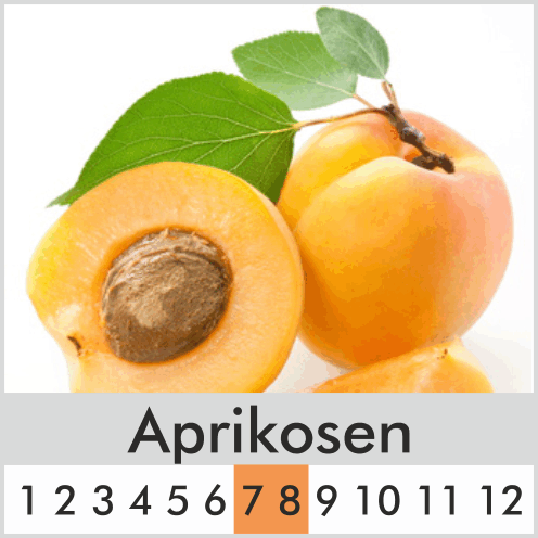 Aprikosen