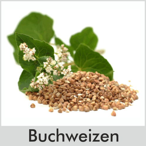 Buchweizen