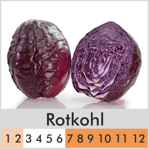 Rotkohl