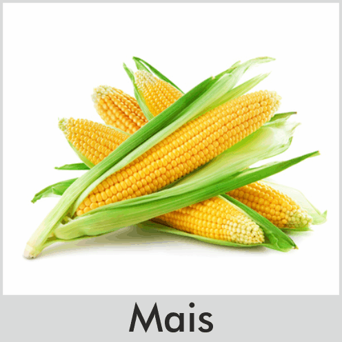 Mais