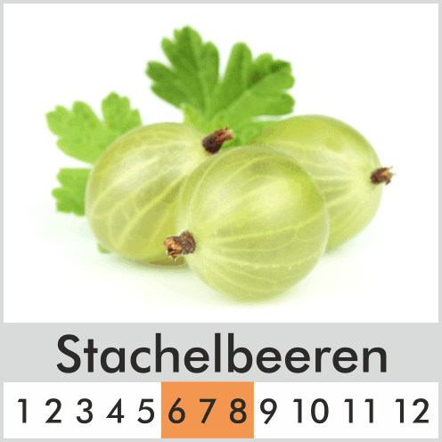 Stachelbeeren