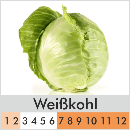 Weißkohl