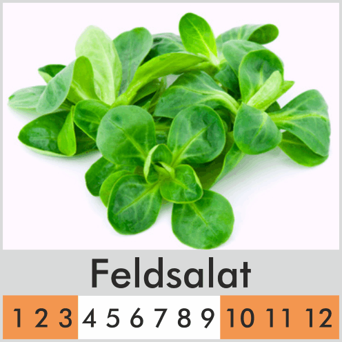 Feldsalat