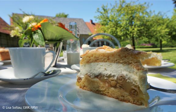 Stück Kuchen und Kasse im Schatten eines Baums