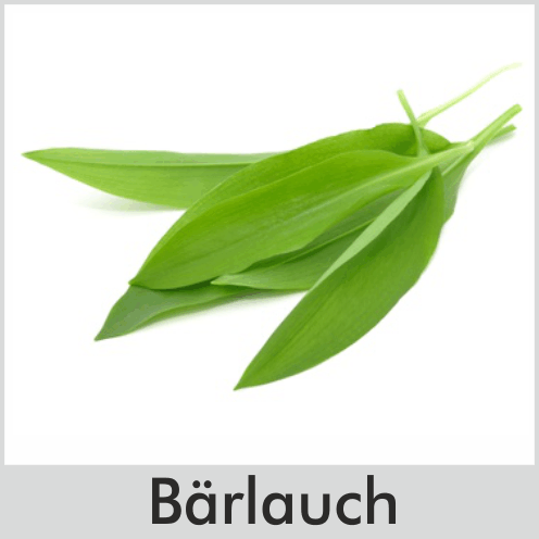 Bärlauch