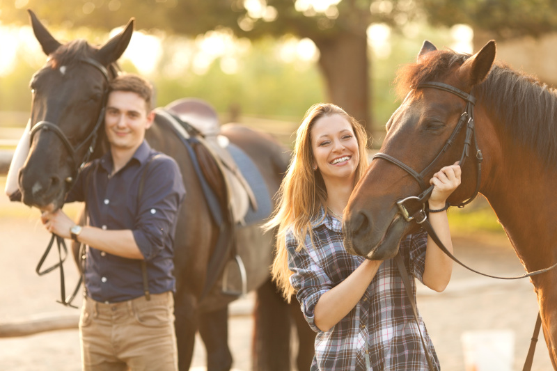 Pferde & Reiten