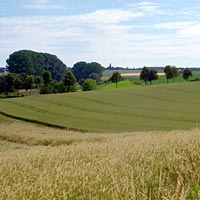 Landschaft bei Bonn-Roleber