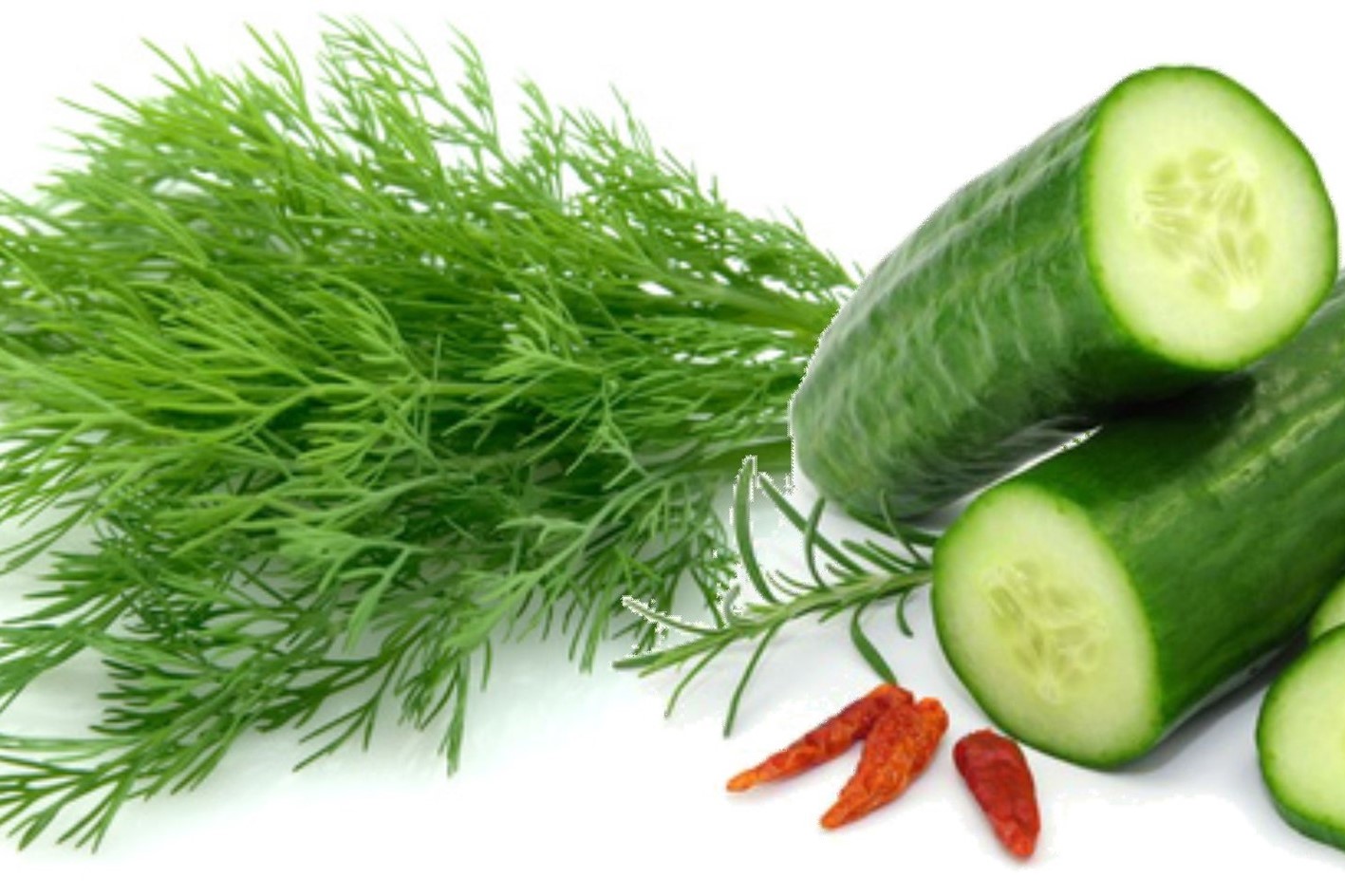 Dill Gurkensalat