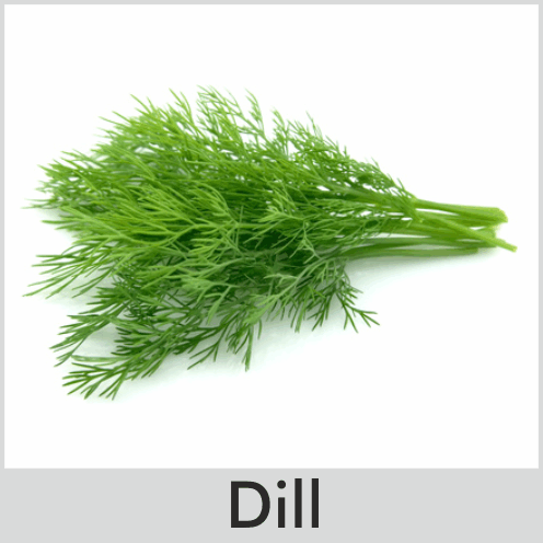 Dill