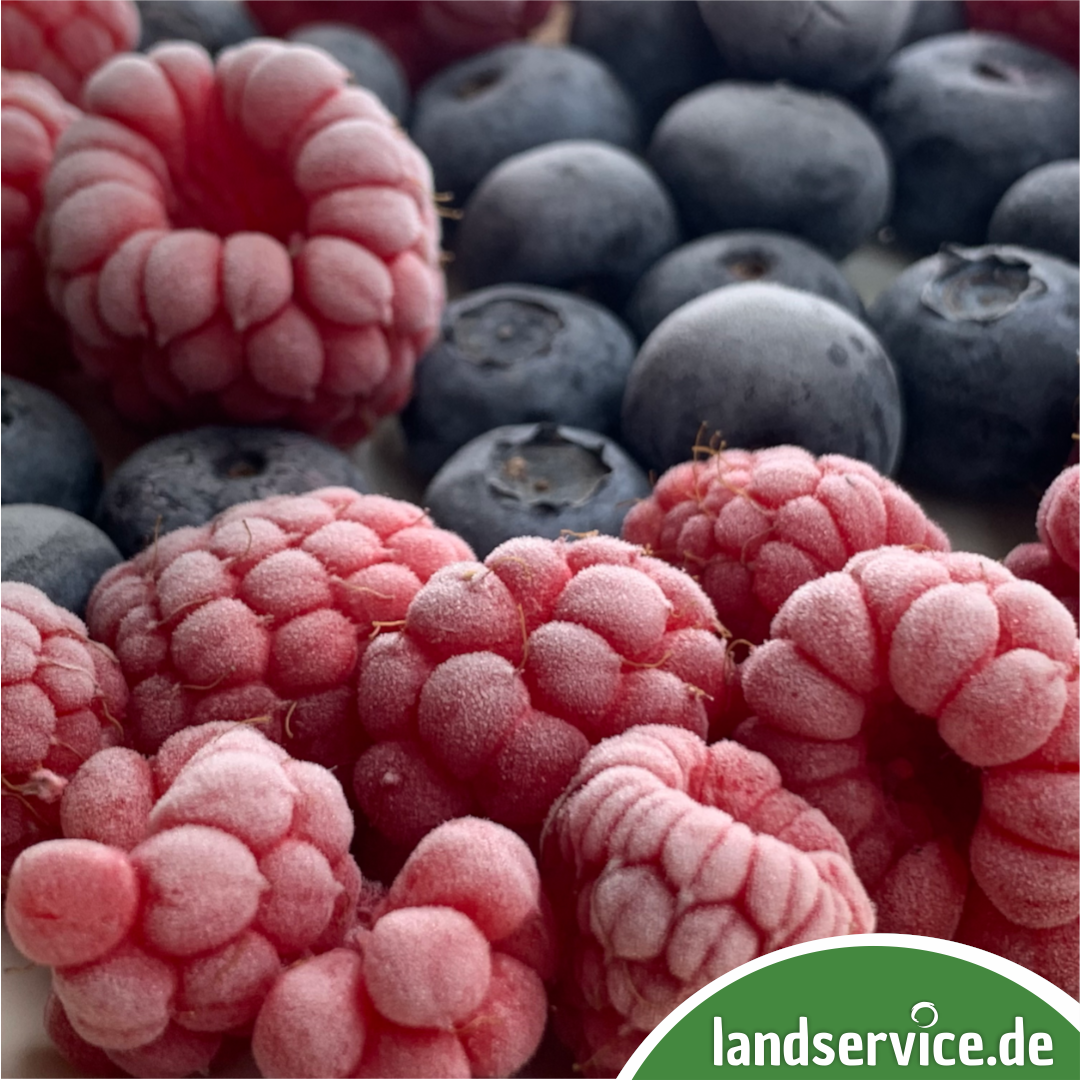 Gefrorene Himbeeren und Heidelbeeren