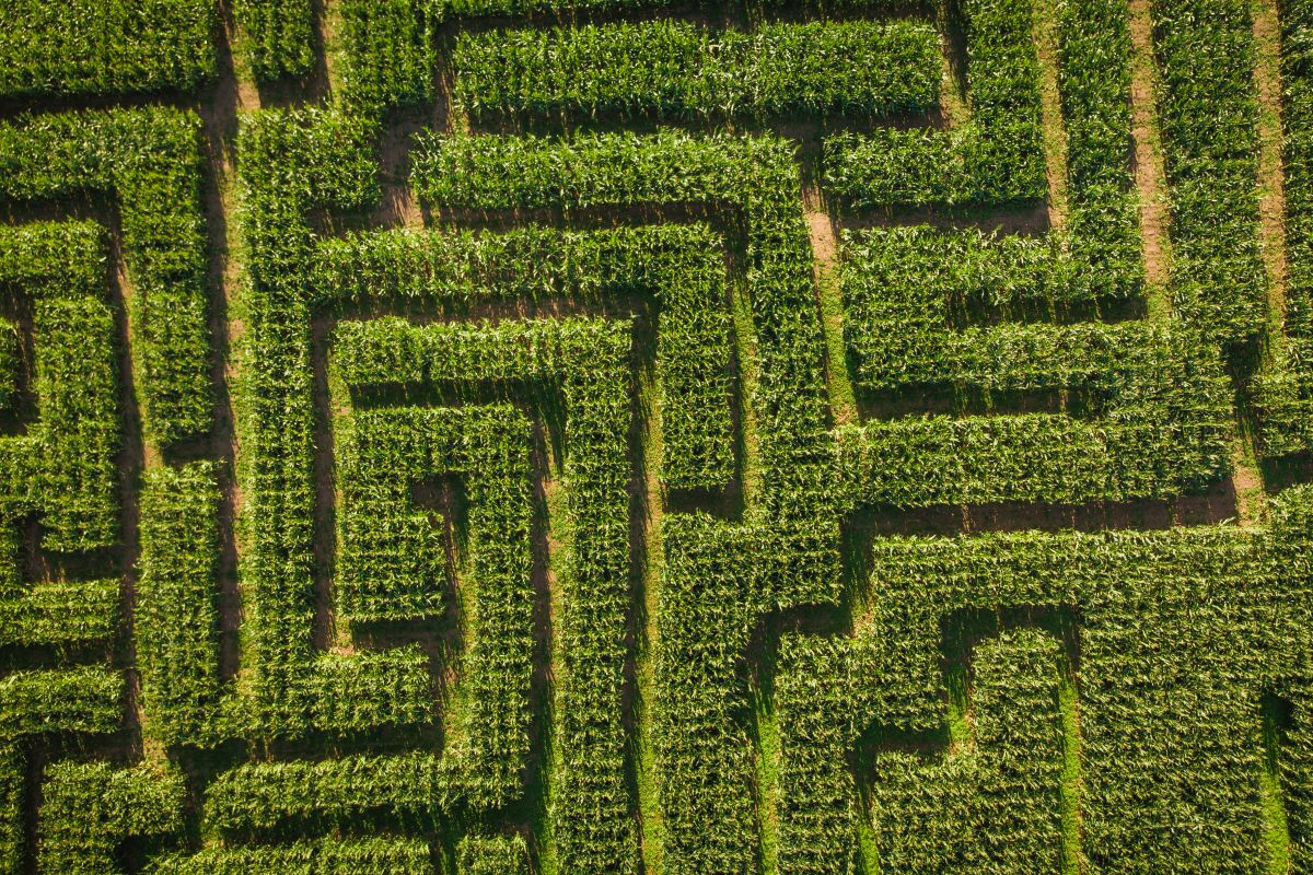 Maislabyrinthe in der Nähe