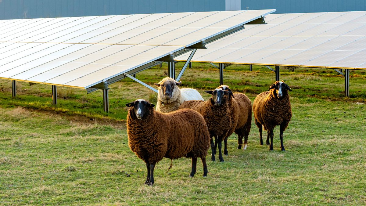 Nachhaltige Landwirtschaft