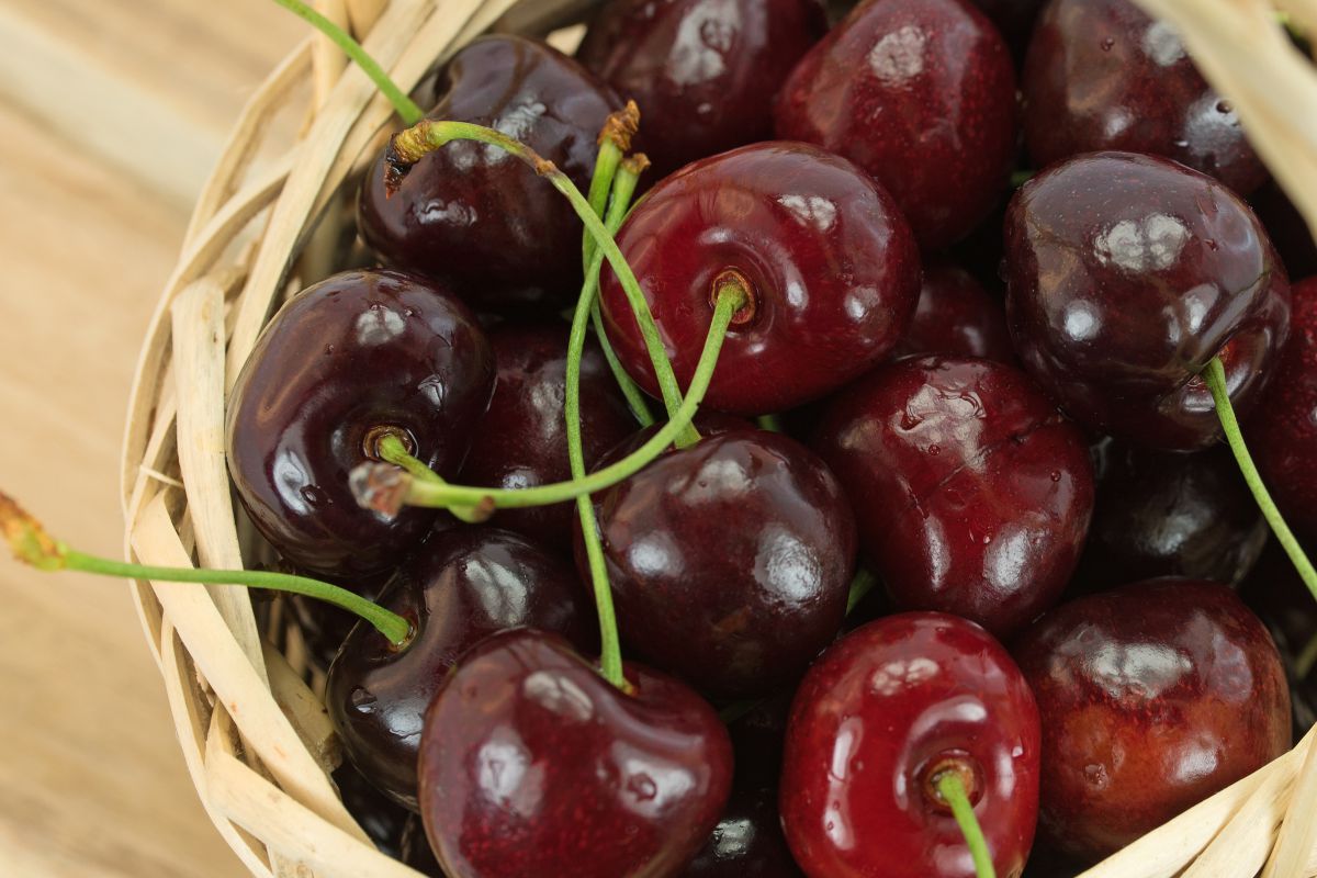 Kirschen direkt vom Hof