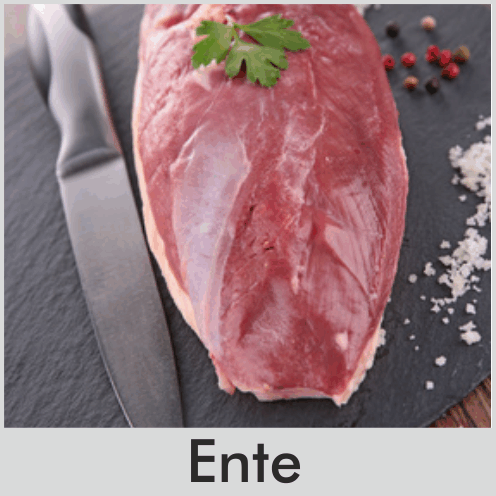 Ente