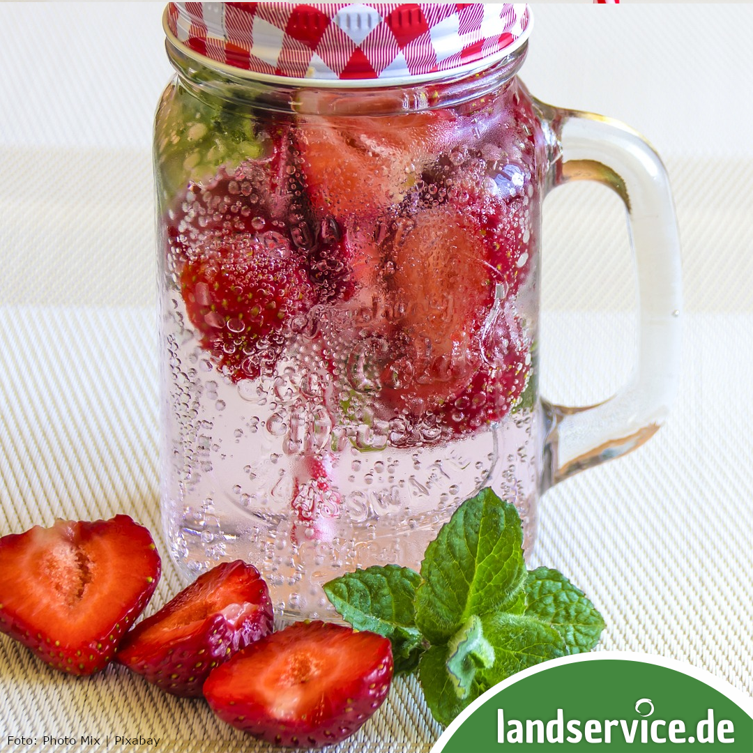 Aromatisierte Wasserkreationen, Infused Water und regionale Limonaden