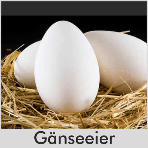 Gänseei
