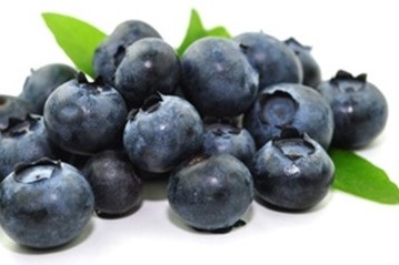 Heidelbeeren für Heidelbeercreme