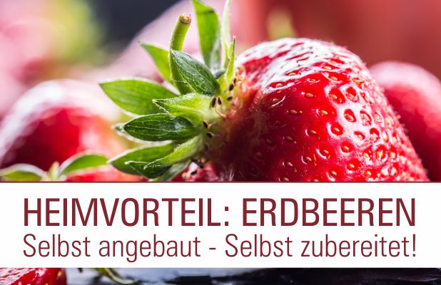 Heimvorteil Erdbeeren