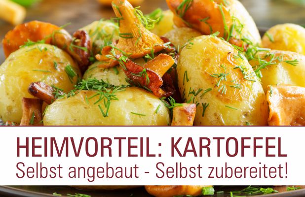Heimvorteil Kartoffel